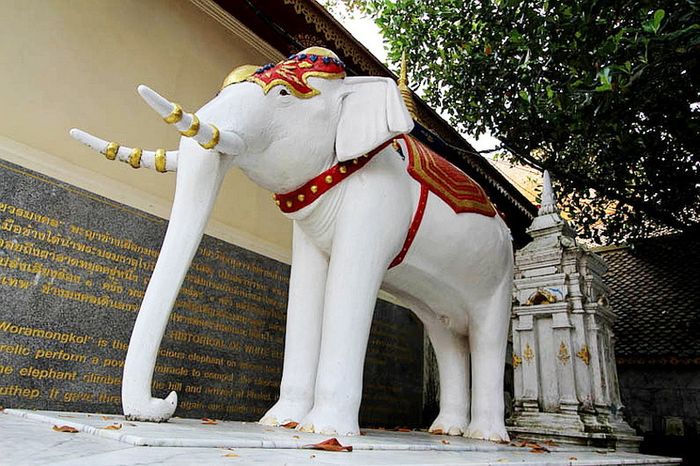 Wat Phra That Doi Suthep tỏa sáng với ánh vàng trên dốc núi Chiang Mai 7