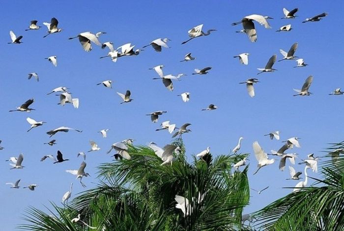 Bí quyết khám phá Sóc Trăng 4