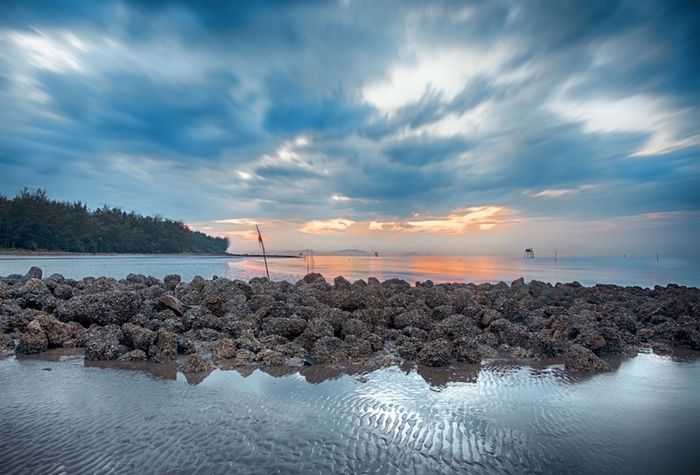 Trọn bộ thông tin về tuyến phà Cần Giờ Vũng Tàu cho những người say mê du lịch tự túc