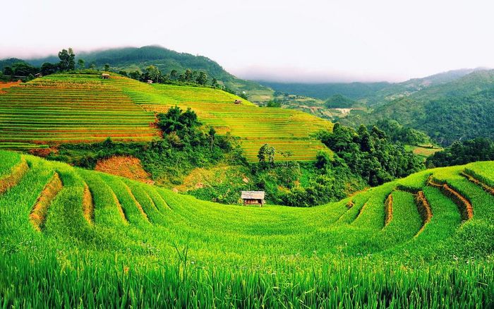 Khám phá Tả Giàng Phình Sapa - Nơi sống của những người Mông trăm tuổi 9