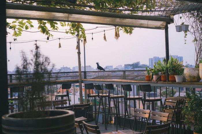 Thư giãn hoàn toàn tại Chạng Vạng Rooftop, một không gian bình yên giữa sự hối hả của thành phố nhộn nhịp
