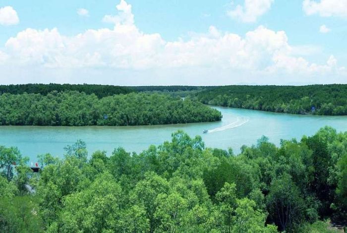 Trọn bộ thông tin về tuyến phà Cần Giờ Vũng Tàu cho những người đam mê du lịch tự túc
