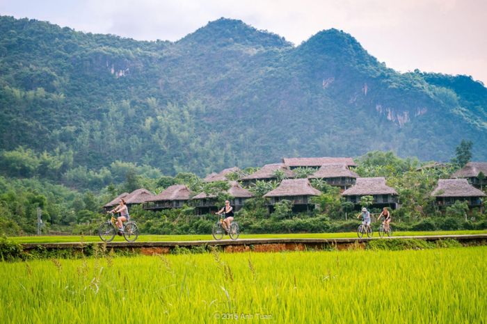Bí quyết săn lúa ở Sapa khi mùa lúa chín vàng rực 5