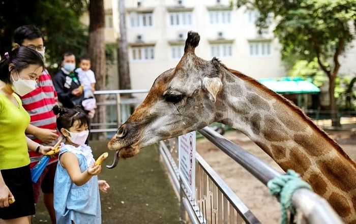 13 điểm du lịch Sài Gòn hấp dẫn với nhiều mặt của thành phố