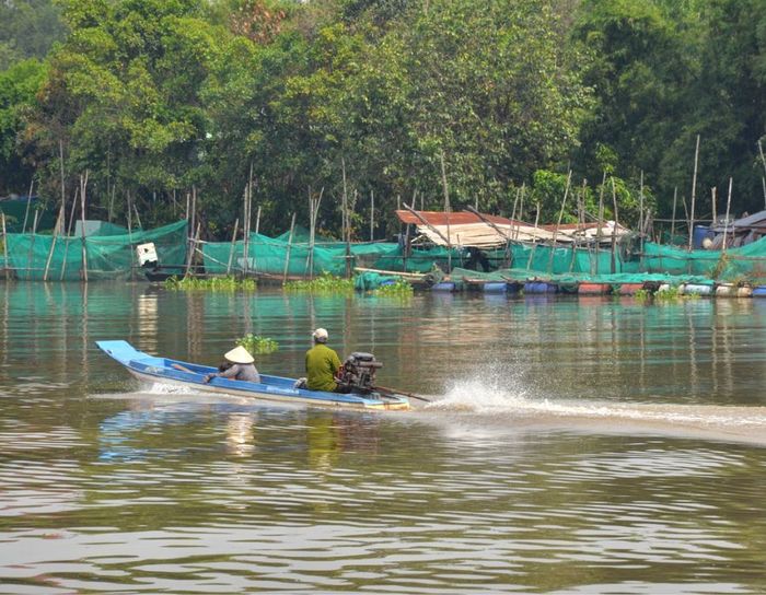 Chinh phục Đảo Nhím Tây Ninh với vẻ đẹp hoang sơ, dân dã 6