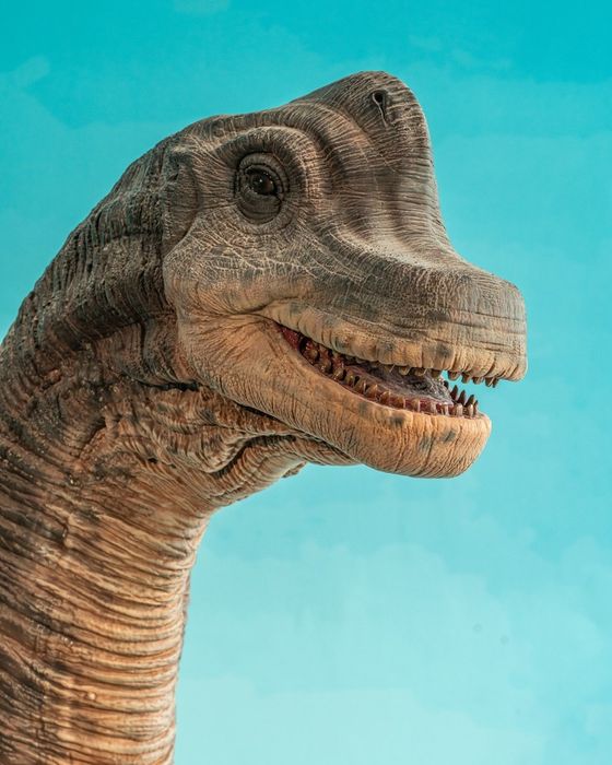 Khám phá Saurus Coffee & Gallery, quán cà phê khủng long độc nhất vô nhị tại Sài Gòn 4