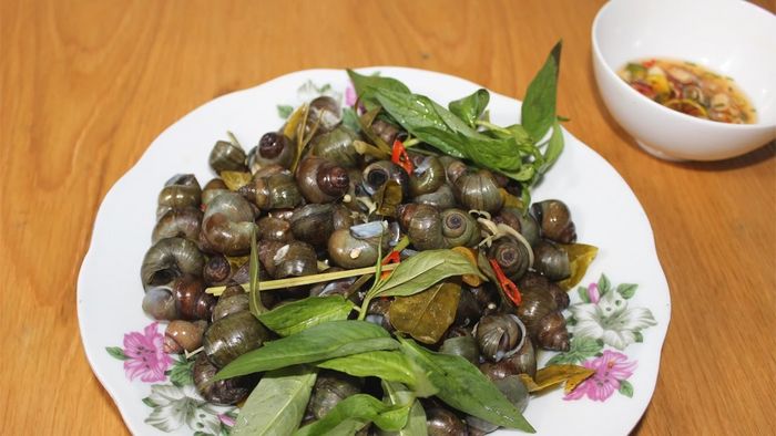 Thưởng thức Ốc gạo Tân Phong nổi tiếng trên khắp miền Tây sông nước