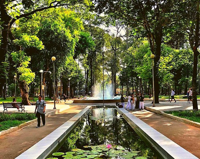 Dã ngoại tại công viên Tao Đàn mang đến những trải nghiệm thú vị.