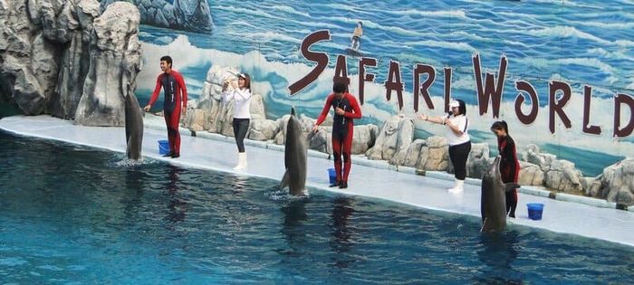 Trải nghiệm Safari World Bangkok để thưởng lãm cảm giác hoang dã của miền safari 2