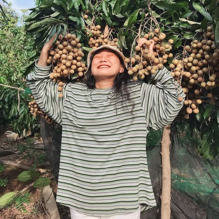 Hãy Ghé Thăm Vườn Trái Cây Vĩnh Kim để Tận Hưởng Mùa Hè Sảng Khoái 6