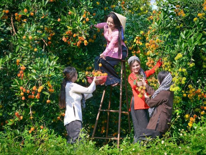 10 Đặc phẩm Mỹ Tho khiến lòng bao thực khách gần xa phải say mê 9