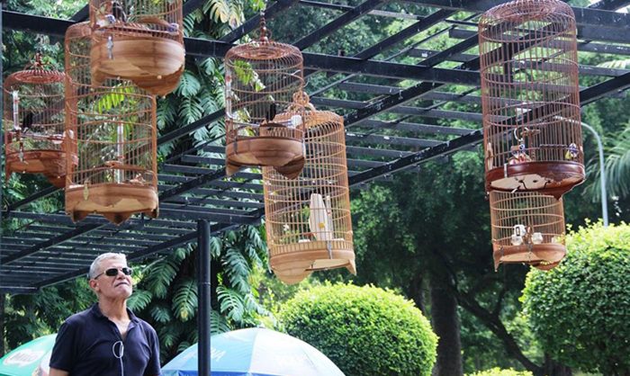 Dã ngoại tại công viên Tao Đàn và những trải nghiệm thú vị số 9