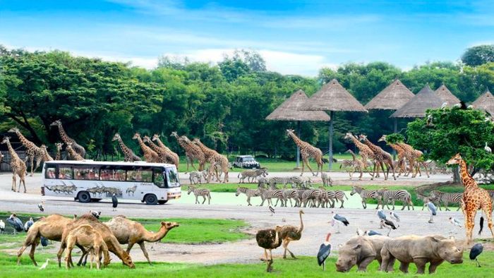 Có dịp du lịch Bangkok, đừng bỏ qua 11 điểm tham quan nổi tiếng của thành phố chùa vàng.