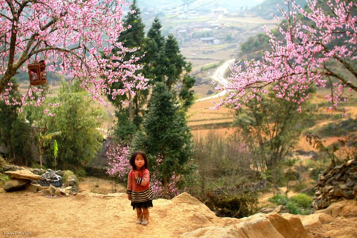 Khám phá Tả Giàng Phình Sapa - Vùng đất của những người Mông trăm tuổi 3