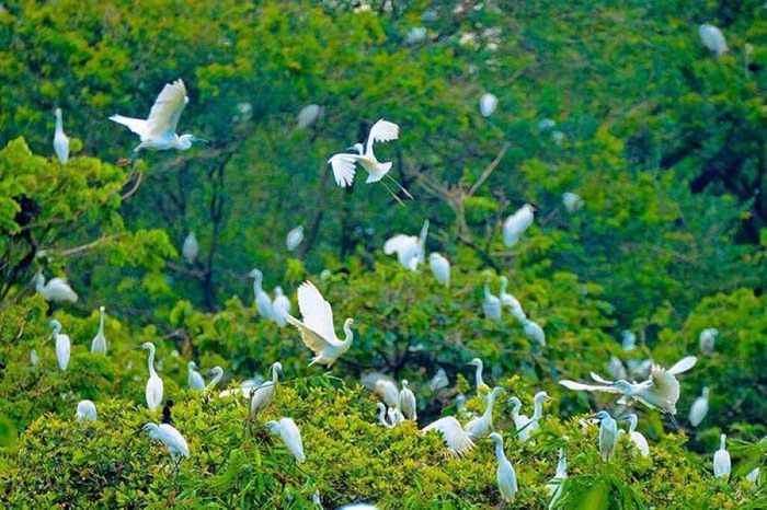 Bỏ túi lịch trình 2N1Đ khám phá Ngã Năm Sóc Trăng từ A đến Z 3