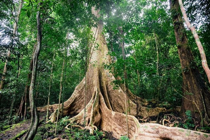 Top 10 điểm du lịch gần Sài Gòn để thư giãn trong dịp lễ 30/4 - 1/5