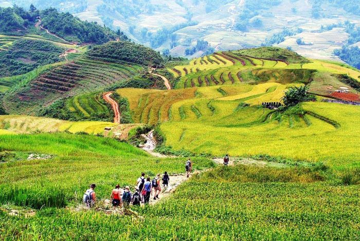 Đề xuất 15 hoạt động khám phá Sapa tự túc cho nhóm bạn đam mê trekking