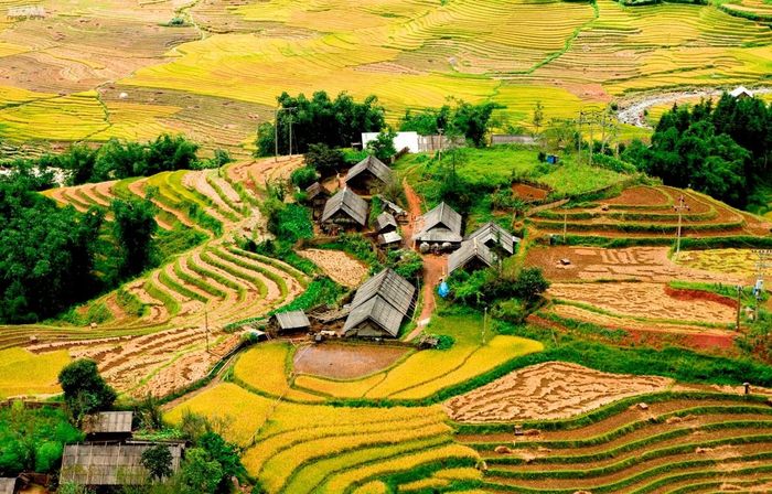 Đề xuất 15 hoạt động khám phá Sapa tự túc cho nhóm bạn đam mê trekking