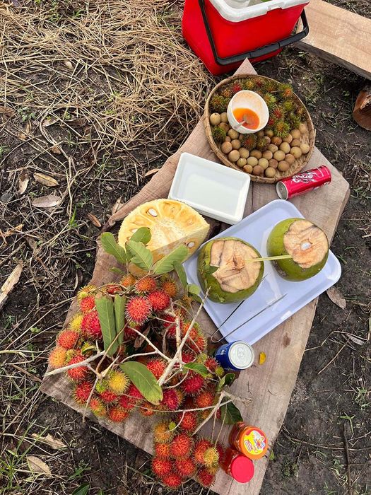 Danh sách các vườn trái cây Tây Ninh phổ biến cho những ai đam mê du lịch tự túc 9