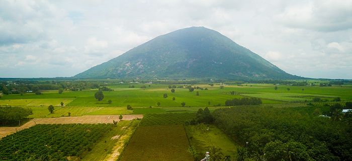 Thăm vườn nho rừng Tây Ninh và ngắm nhìn loại quả dại danh tiếng 2