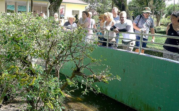 Hãy để Mytour.vn chỉ đường đến trại rắn Đồng Tâm cho bạn