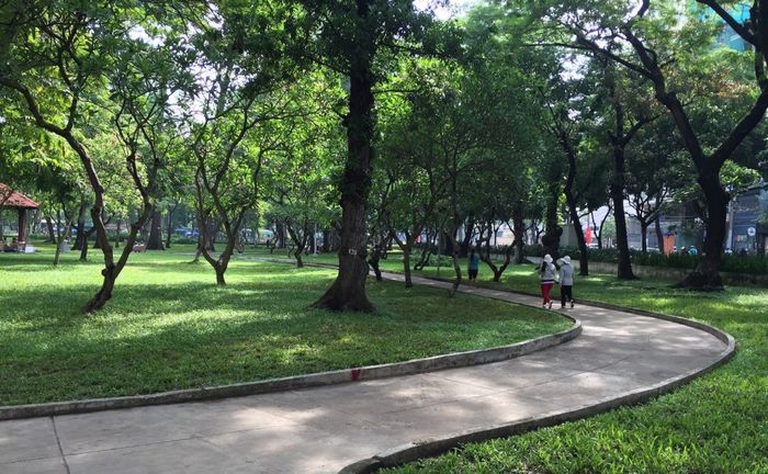 Công viên Lê Văn Tám: Nơi thích hợp để dạo chơi và tận hưởng không khí trong lành giữa trung tâm Sài Gòn 10