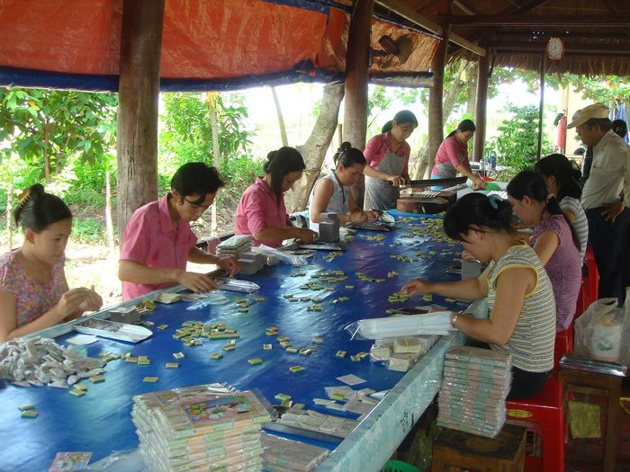 Khám phá Cồn Long (Cồn Rồng) Tiền Giang cùng Mytour.vn 5