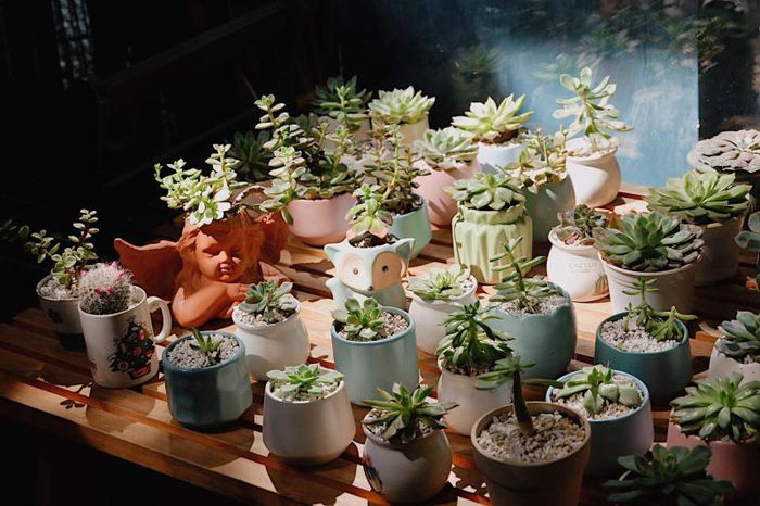 Chùa Viên Giác với tháp làm từ gốm sứ cao nhất Việt Nam 8