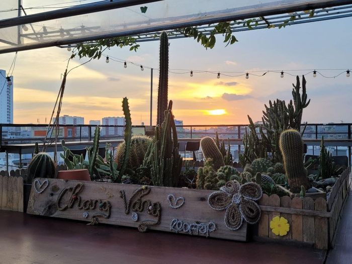 Thư giãn hoàn toàn tại Chạng Vạng Rooftop, một không gian bình yên giữa sự hối hả của thành phố nhộn nhịp