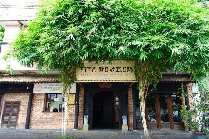 Thăm quan bảo tàng Y học cổ truyền Việt Nam giữa lòng Sài Gòn 2