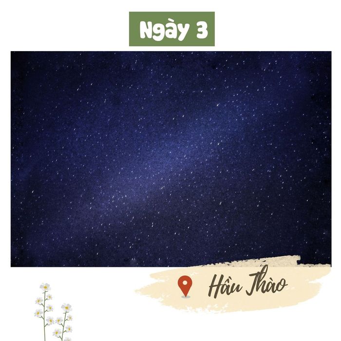 Sải bước bên cạnh Mavis Vi Vu Ký trong hành trình khám phá Sapa tự túc 4 ngày 3 đêm 17