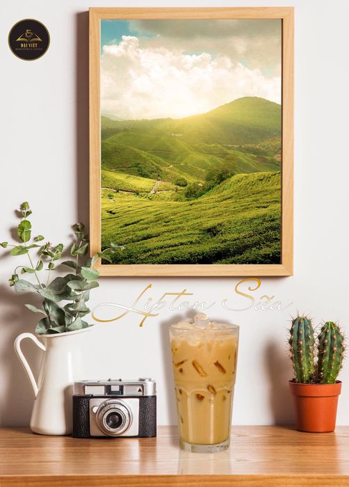 Lang thang trong không gian yên bình của Đại Việt Bookstore and Coffee giữa trung tâm thành phố 3