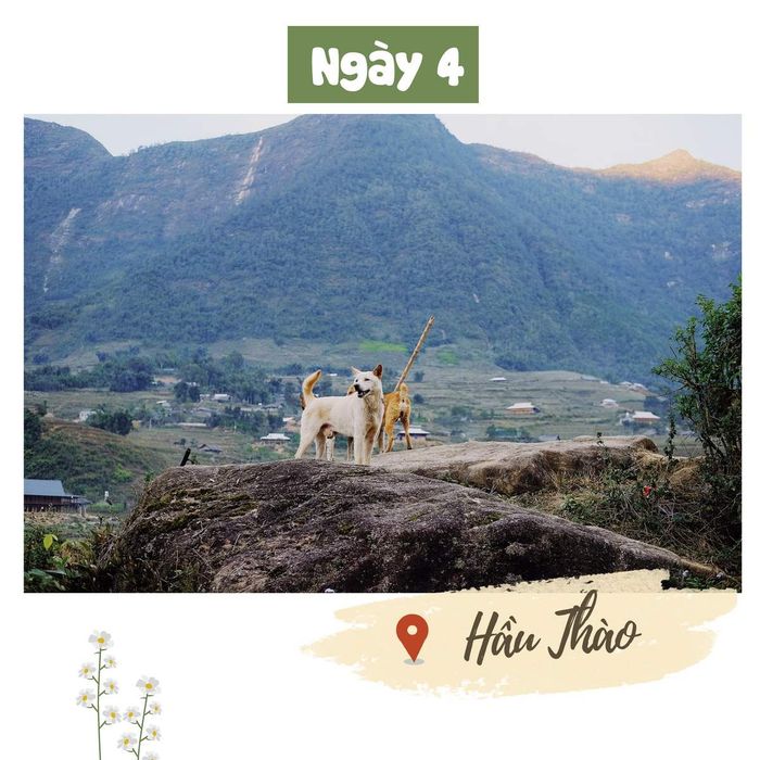 Dạo chơi cùng Mavis Vi Vu Ký trong hành trình du lịch Sapa tự túc 4 ngày 3 đêm 18