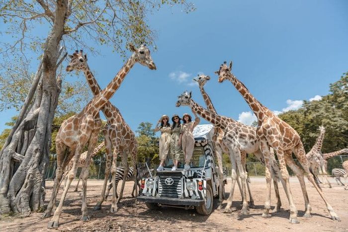 Trải nghiệm Safari World Bangkok để thưởng lãm cảm giác hoang dã 7