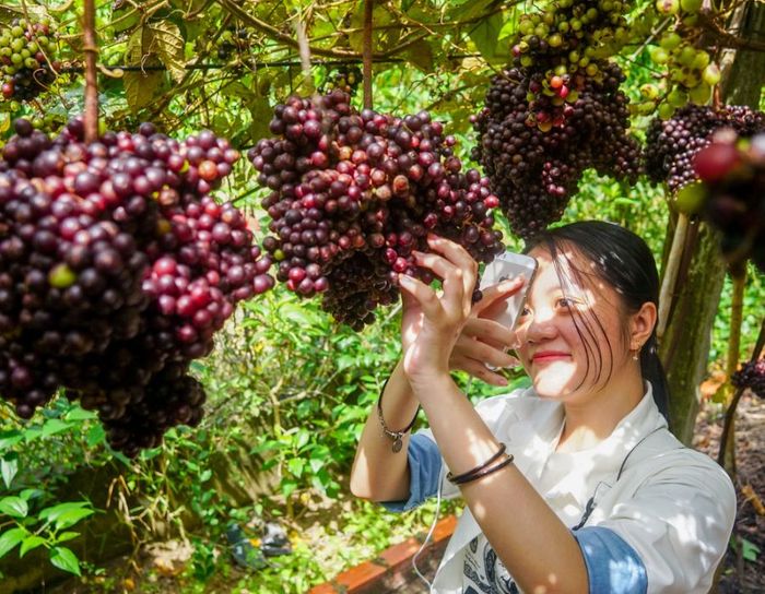 Lịch trình hành hương Tây Ninh chi tiết dành cho bạn - Phần 4