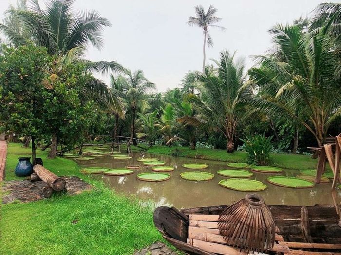 13 địa điểm du lịch Sài Gòn khám phá vẻ đẹp đa dạng của thành phố 13