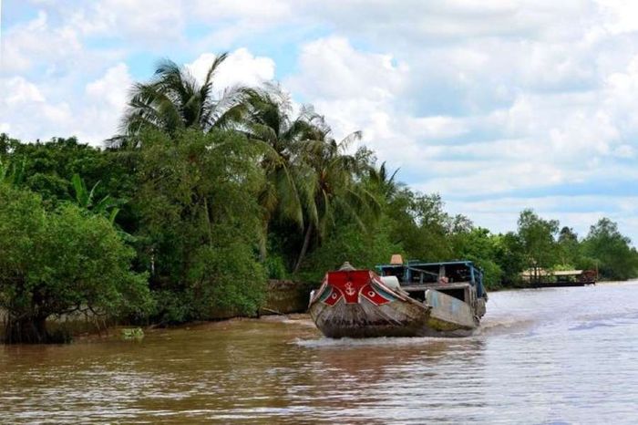 Khám phá Cù lao An Bình khi trái cây chín mọng và ghi lại những khoảnh khắc đáng nhớ 2