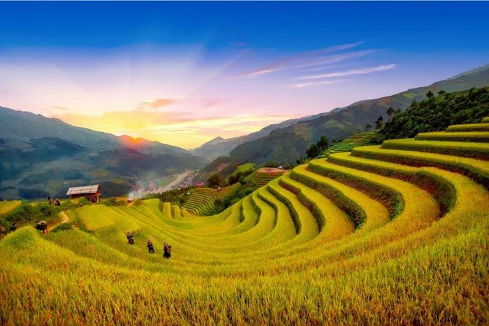 Lịch trình Mù Cang Chải 3 ngày 2 đêm cho những người muốn khám phá 9