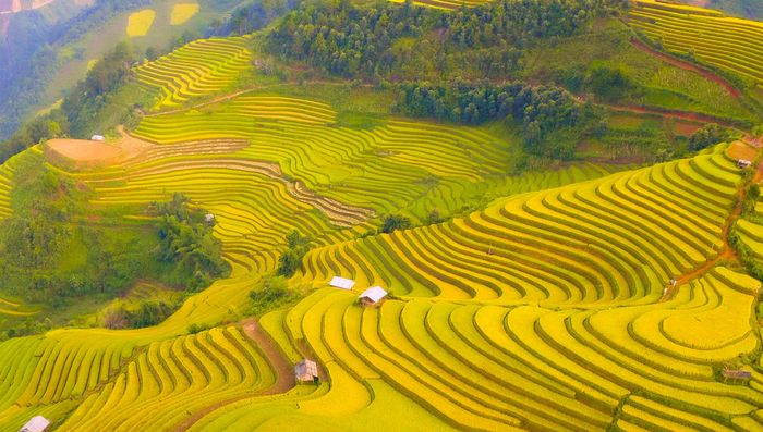 Lịch trình Mù Cang Chải 3 ngày 2 đêm dành cho những người muốn khám phá 10