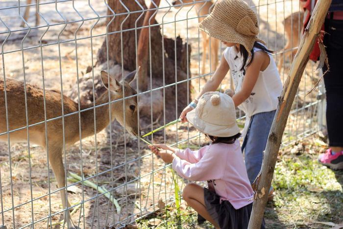 Trải nghiệm suối nước nóng Bình Châu - Nguồn khoáng nóng tự nhiên duy nhất tại miền Nam 10