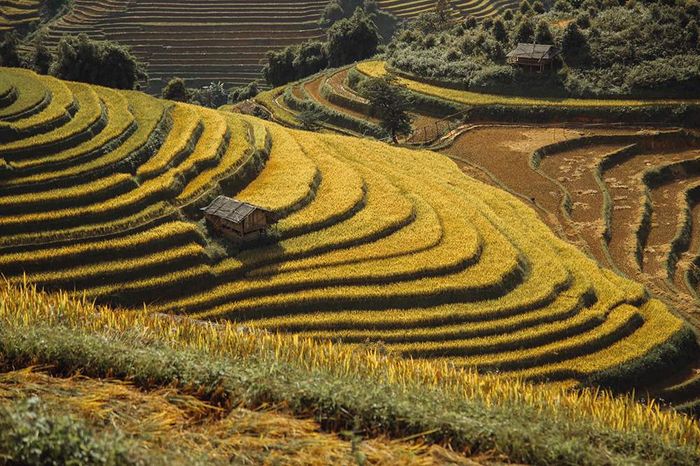 Bí quyết du lịch Mù Cang Chải tự do hoàn hảo từ A đến Z 3