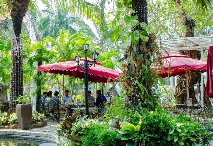 Khu du lịch Huỳnh Kha: Điểm vui chơi hàng đầu tại Trà Vinh 5