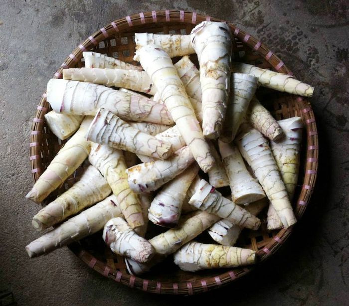 Vị độc đáo của Măng vầu cuốn thịt ở Yên Bái 3