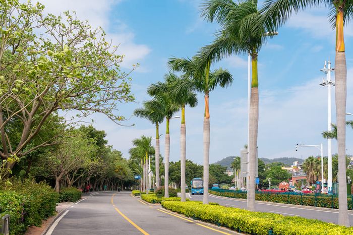Hạ Môn, thành phố biển đẹp như mơ 13