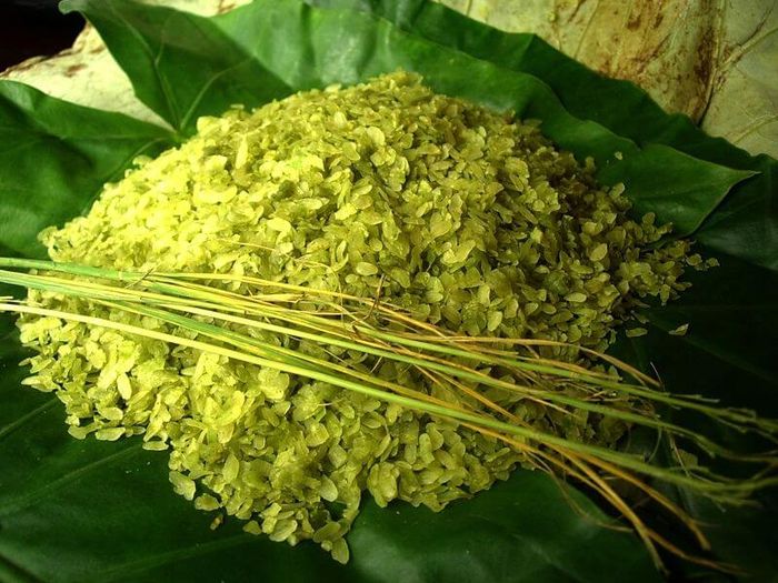 Chương trình khám phá Tú Lệ - Mù Cang Chải trong 3 ngày dành cho đội ngũ mê phượt 4
