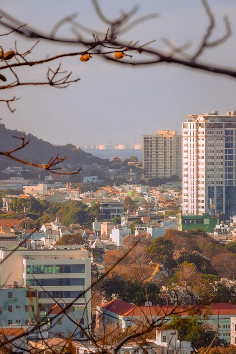 Khám phá Vũng Tàu yên bình qua góc nhìn nghệ thuật 8