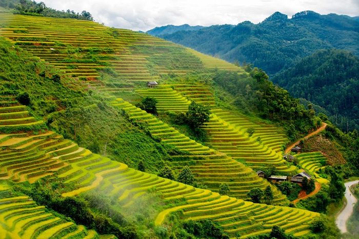 Khám phá Mù Cang Chải cùng đám bạn thân 5