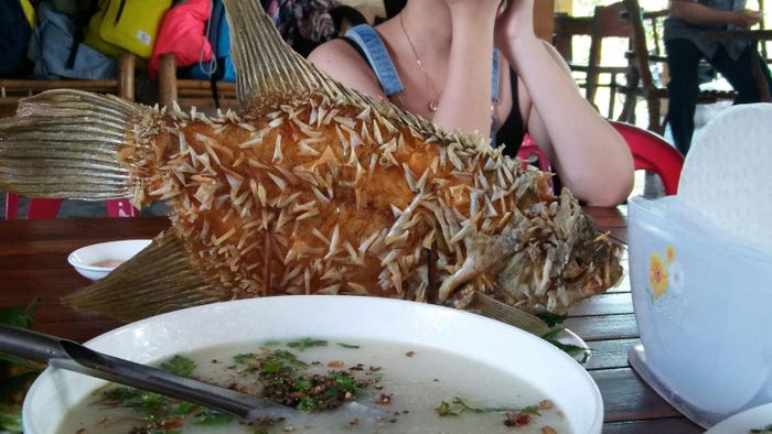Góc review du lịch miệt vườn Tiền Giang, tưởng không vui ai ngờ lại vui đến bất ngờ phần 3