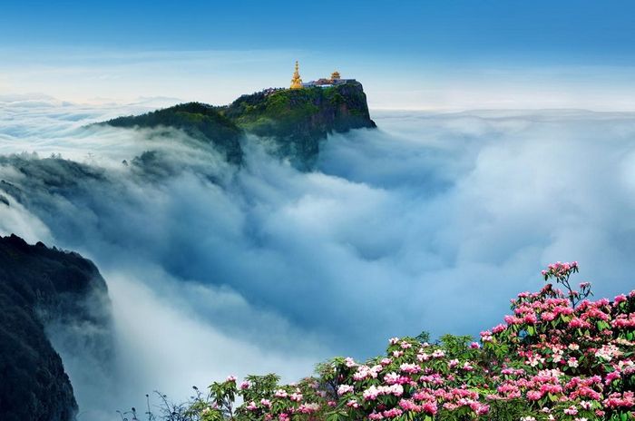 Khám phá vùng đất phong phú của gấu trúc ở Tứ Xuyên 8