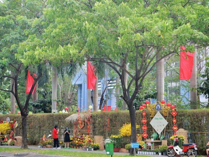 Top 10 chợ hoa Tết Sài Gòn sôi động nhất năm 2024